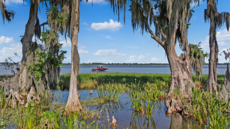 Lake Alfred, Florida