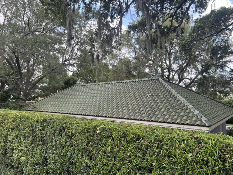 Roof Cleaning in Lake Wales 5 Green roof of a home surrounded by a tall hedge.