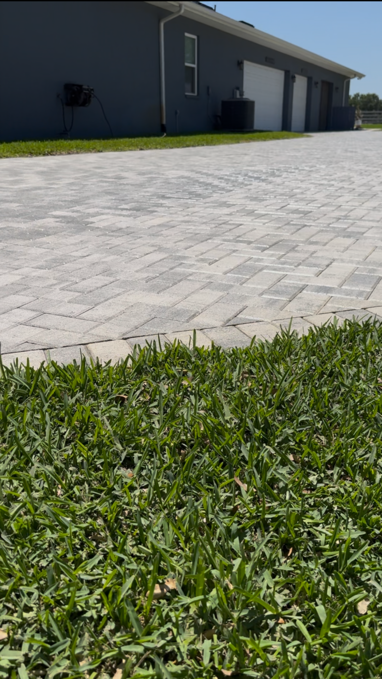 a grass next to a paver walkway